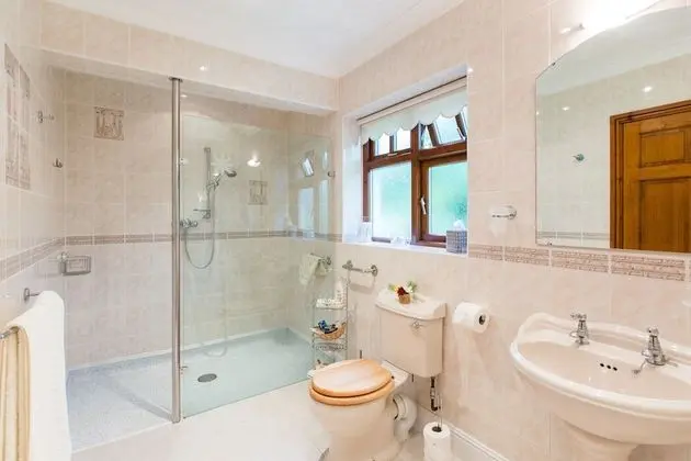 Ael Y Bryn Bed and Breakfast - Banyo Tipleri