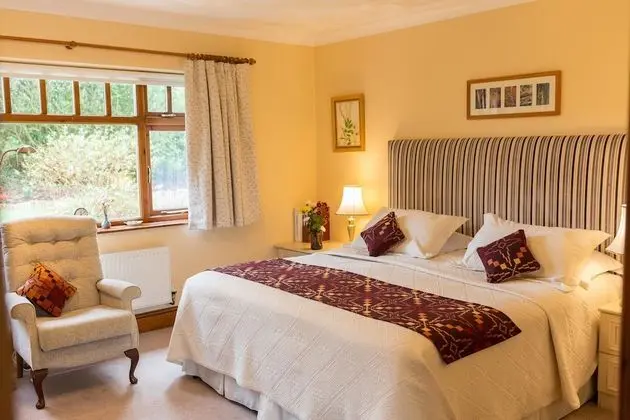 Ael Y Bryn Bed and Breakfast - Oda