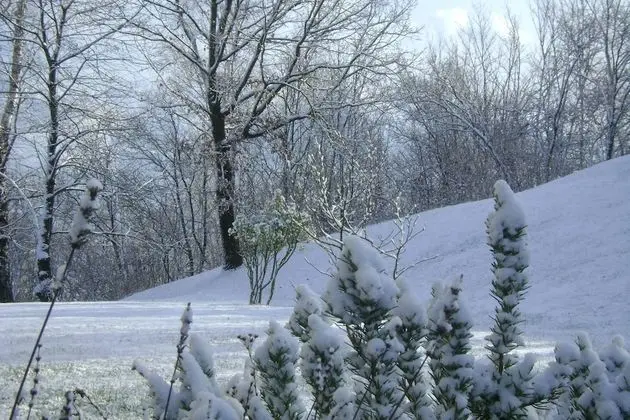 Affittacamere Rubino