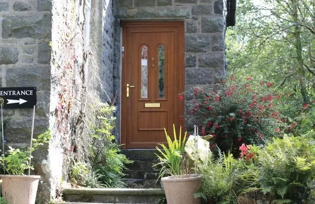 Afon Rhaiadr Country House - Lobi