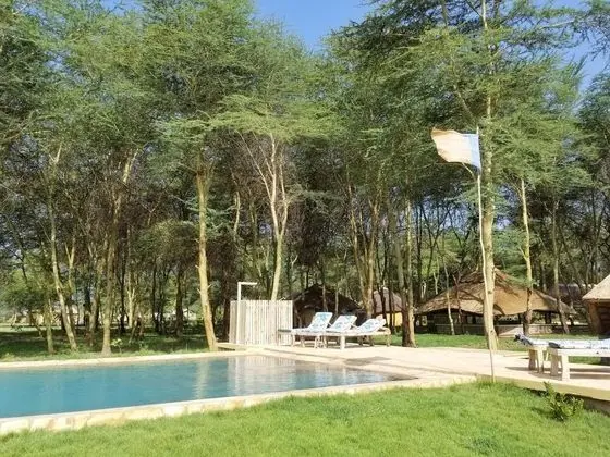 Africa Safari Camping Mto wa Mbu - Havuz