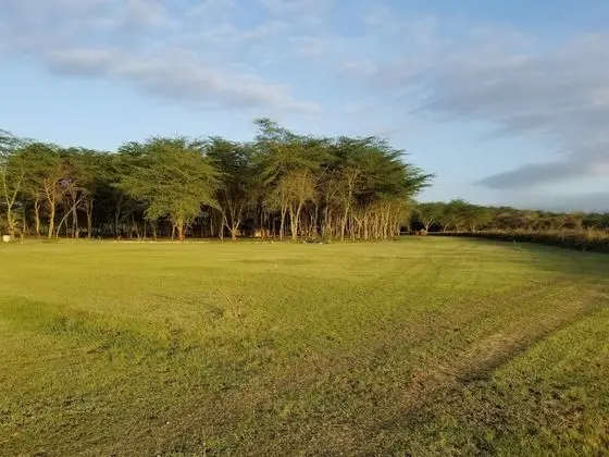 Africa Safari Lake Manyara - Dış Mekan