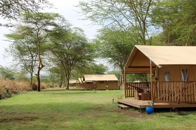 Africa Safari Lake Manyara - Oda