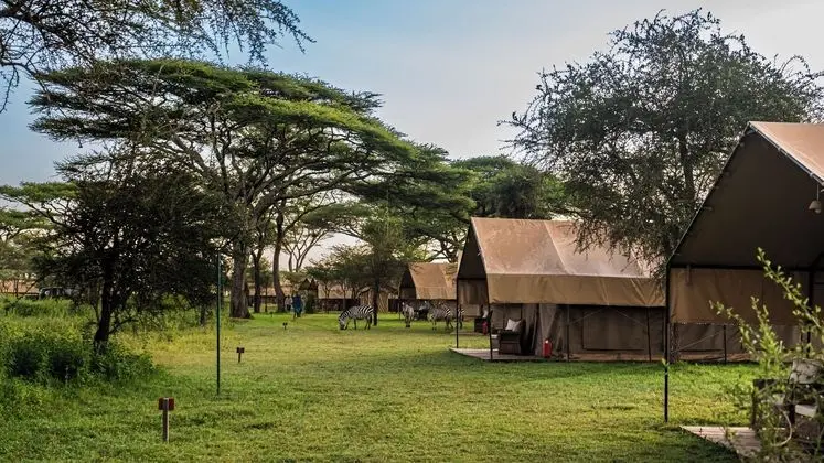 Africa Safari South Serengeti - Mülk Olanakları