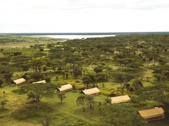 Africa Safari South Serengeti - Öne Çıkan Resim