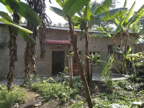 In-Africa Stay