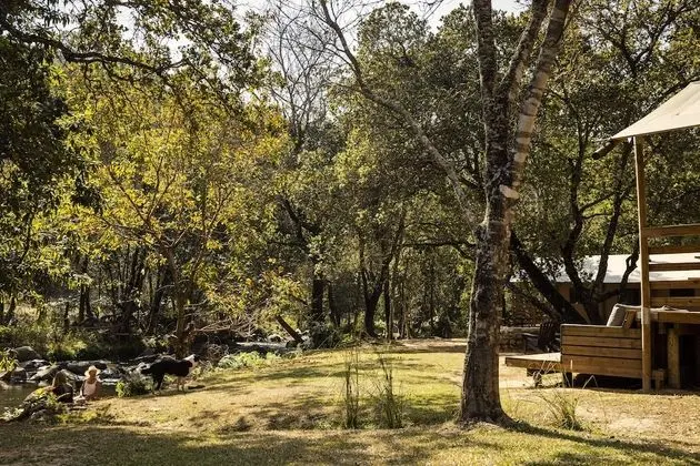 AfriCamps at Mackers - Glamping - Dış Mekan