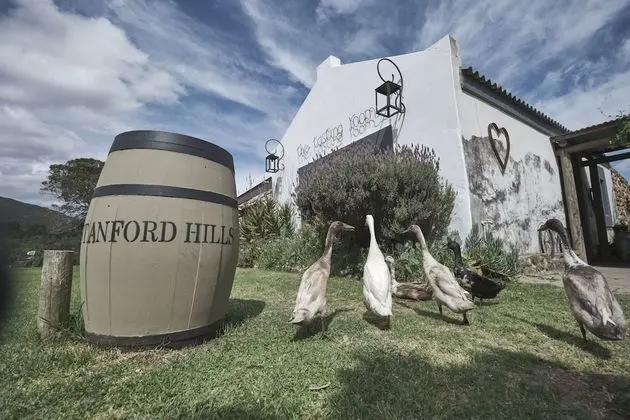 AfriCamps at Stanford Hills Estate- Glamping - Yerinde Yemek