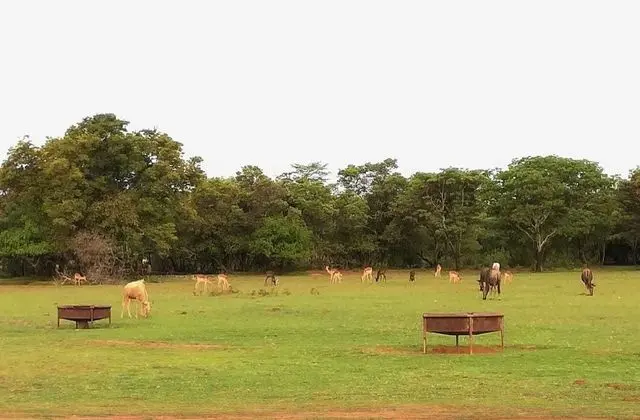 African Explorer Private Game Lodge - Dış Mekan