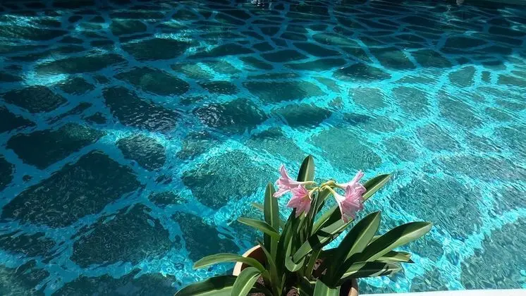 African House Resort - Havuz