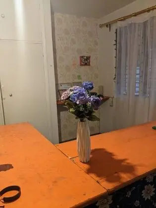 African Jungles campsites and Lodges