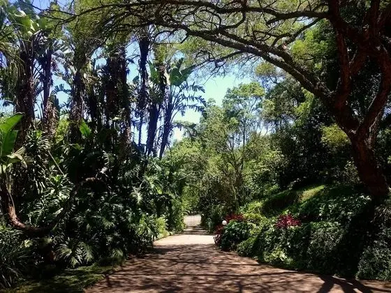 Africa's Eden Guesthouse - Dış Mekan