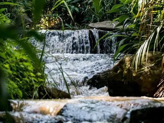 Africa's Eden Guesthouse - Öne Çıkan Resim