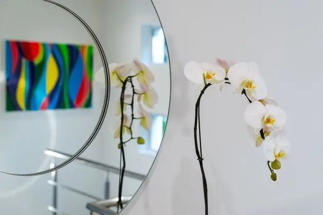 Villa Afrikana Guest Suites - İç Mekan