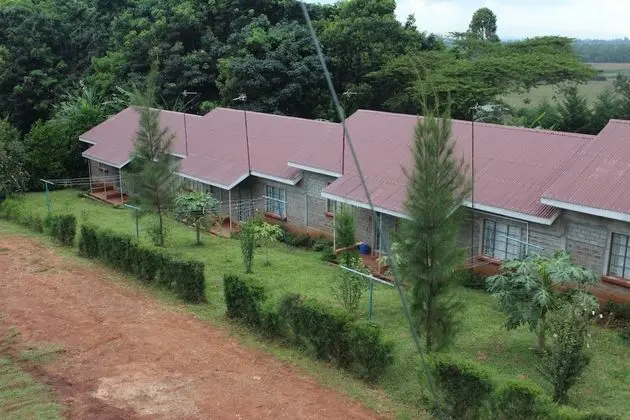 Afrikana Yard