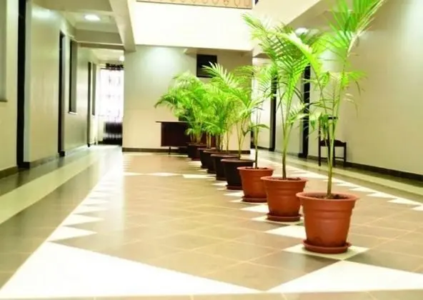Afrique Hotel