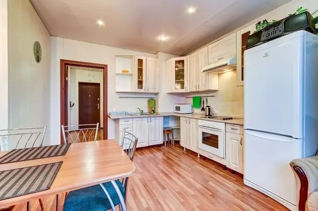 AG Apartment Lensoveta 43 - Mutfak