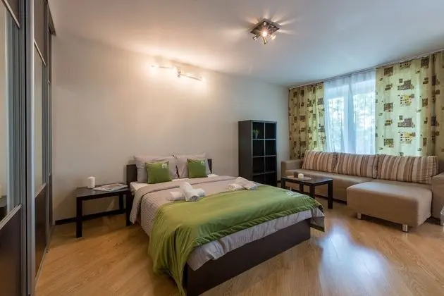 AG Apartment on Mashinostroenya 9, 135 - Oda