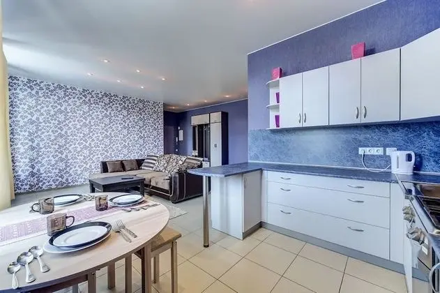 AG Apartment Moskovsky 193 - Mutfak