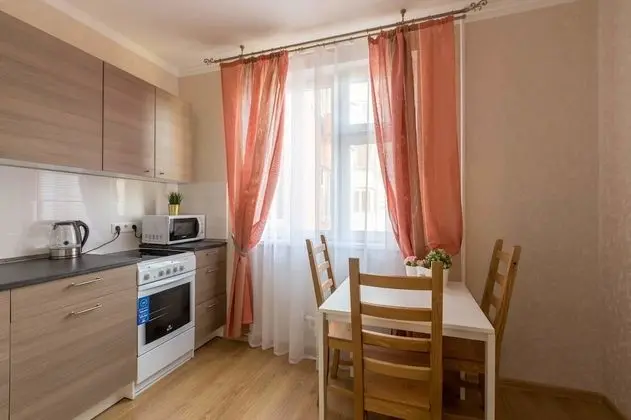 AG Apartment Novorogozhskaya 6 - Mutfak