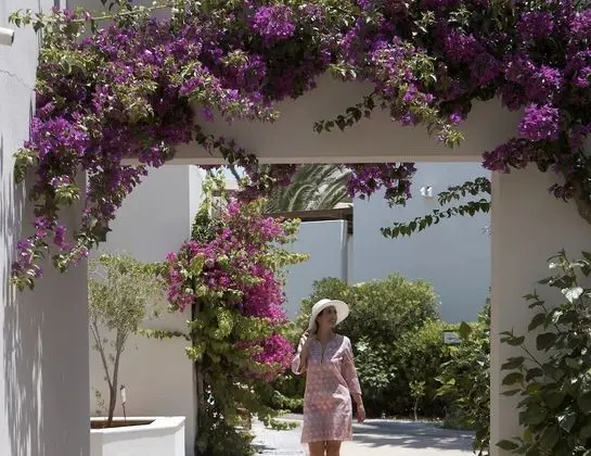 Agapi Beach Resort - All Inclusive - Dış Mekan