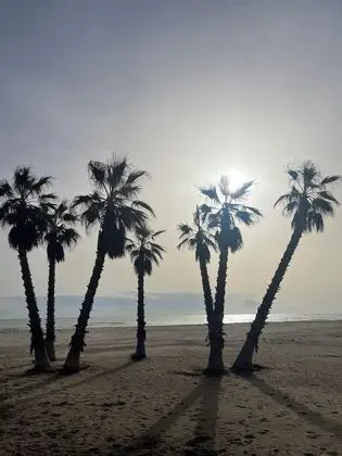 AGH Canet - Plaj