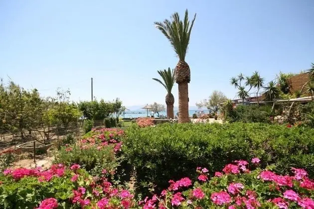 Agia Anna Hotel - Dış Mekan