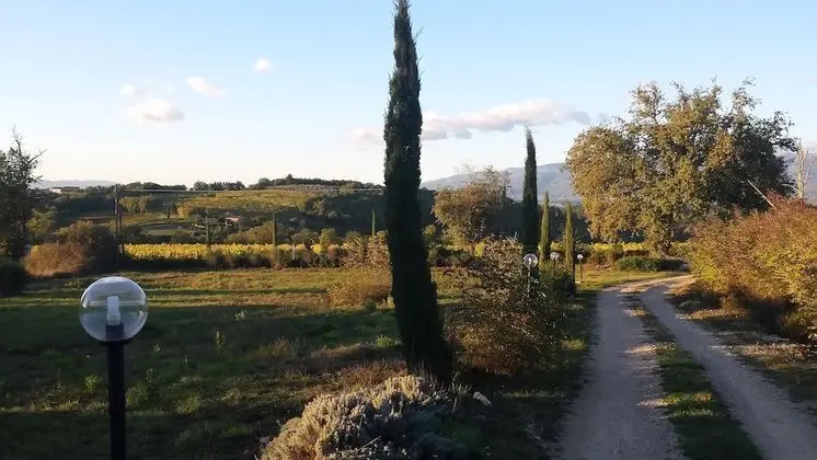 Agricampeggio Madonna di Pogi - Dış Mekan