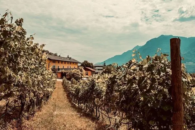 Agritur Mas Dei Chini - Dış Mekan