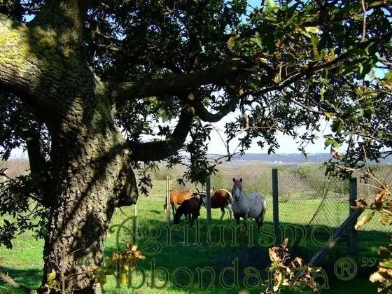 Agriturismo Abbondanza - Oda