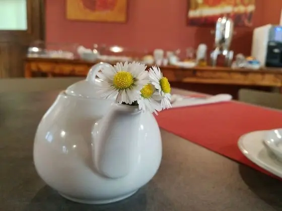 Agriturismo Ai Due Leoni - Lobi
