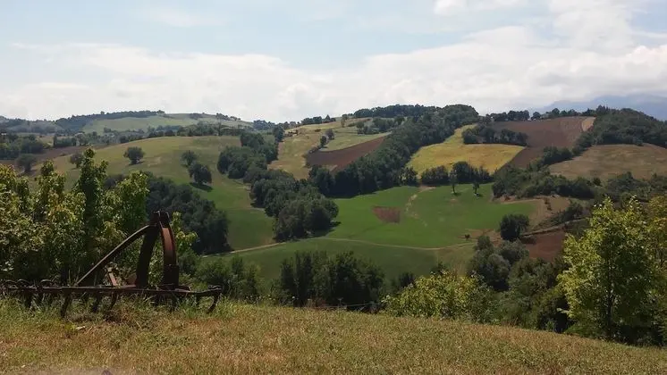 Agriturismo Al Respiro Nel Bosco