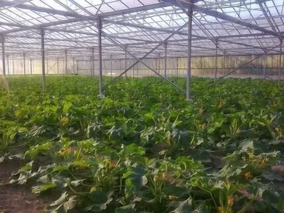 Agriturismo Alba Chiara - Dış Mekan
