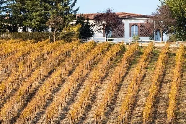 Agriturismo Albarossa - Dış Mekan