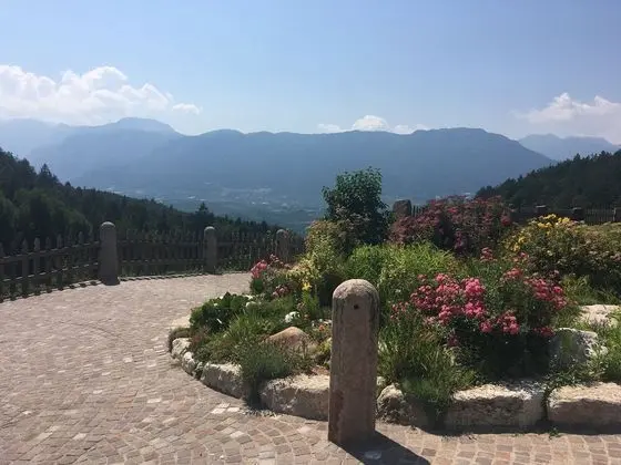 Agriturismo Alpenvidehof - Dış Mekan