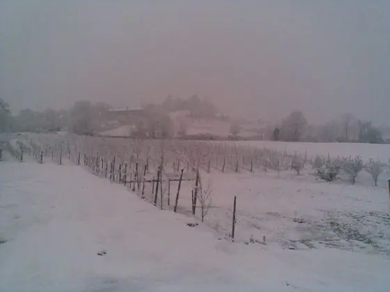 Agriturismo Azienda Agricola Miranti - Dış Mekan