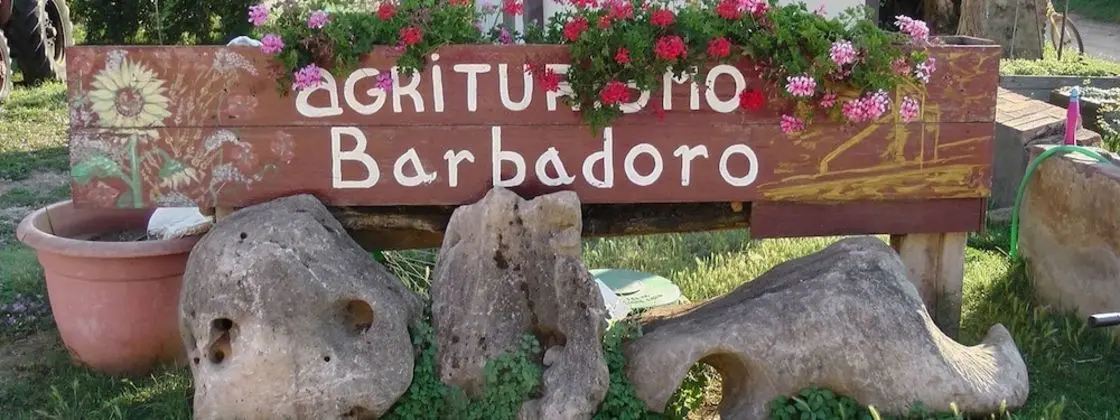 Agriturismo Barbadoro - Dış Mekan