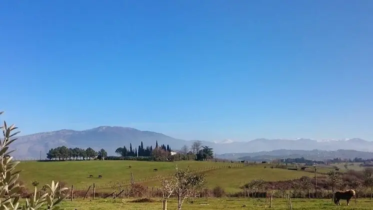 Agriturismo Bio Relais Terra del Vento - Dış Mekan
