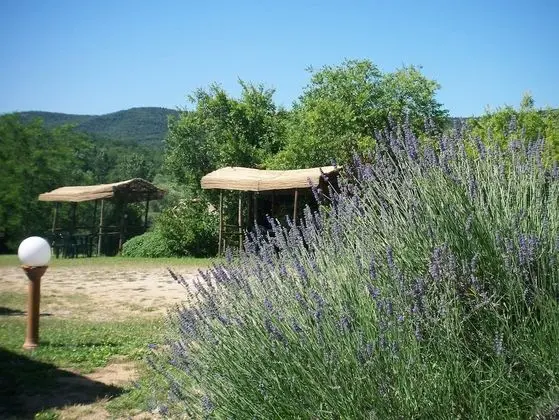 Agriturismo Bonzalone - Dış Mekan
