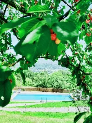 Agriturismo Borgo Biaia - Havuz