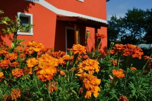 Agriturismo Ca' La Pergola - Dış Mekan
