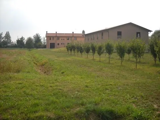 Agriturismo Campi di Grano - Dış Mekan