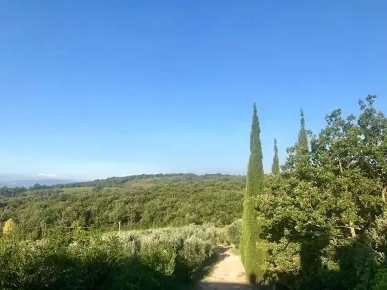 Agriturismo Campo al Crognolo - Dış Mekan