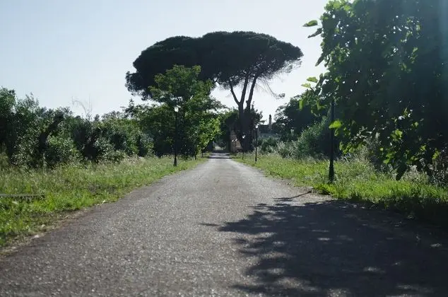 Agriturismo Capani - Dış Mekan