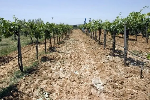Agriturismo Carbona - Dış Mekan