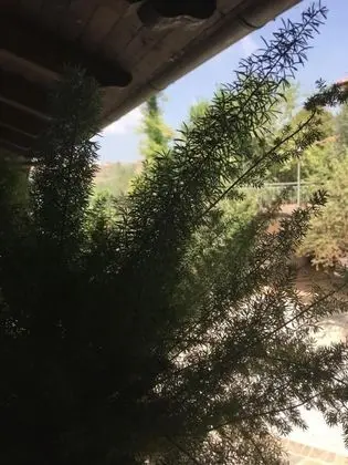 Agriturismo Carretiello - Dış Mekan