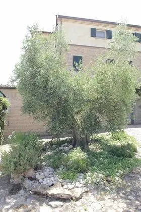 Agriturismo Casa degli Archi - Dış Mekan