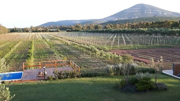 Agriturismo Casale degli Ulivi - Dış Mekan
