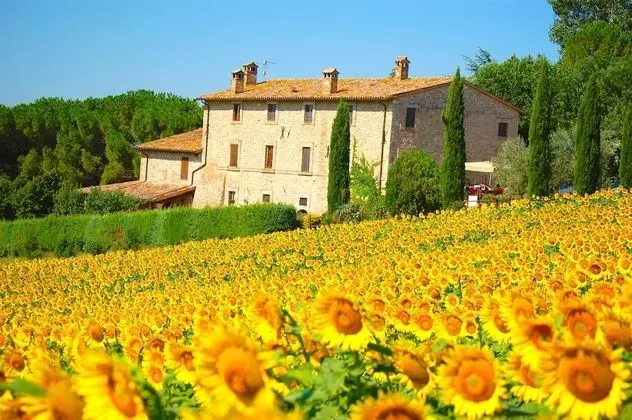 Agriturismo Casale dei Frontini