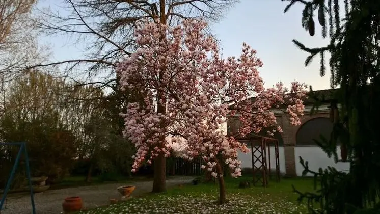 Agriturismo Cipolli e Podò Corte Carlini